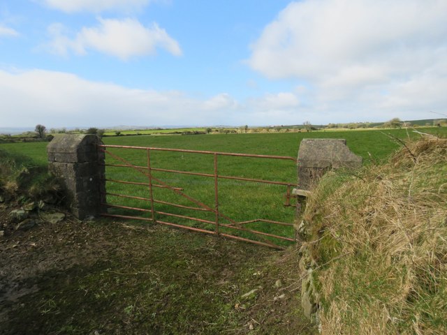 Fields near Ballyhoolin