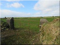 W5962 : Fields near Ballyhoolin by Hywel Williams