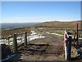 NY8117 : Cattle Grid, Bridleway, and Track towards Woodside by Les Hull