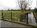 Mayes Brook in Mayesbrook Park