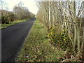 Crevenagh Road, Donaghanie