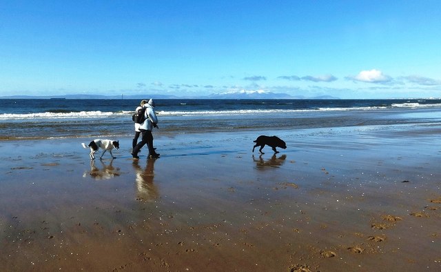 Dog Walkers on Irvine Beach © Mary and Angus Hogg cc-by-sa/2.0 ...