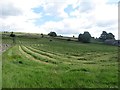 SE0063 : Mown grass field on the edge of Grassington by Graham Robson