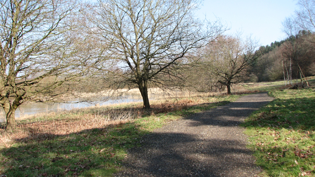 Path along the edge of Colney Wood