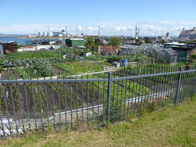 Allotments, Prince of Wales Road