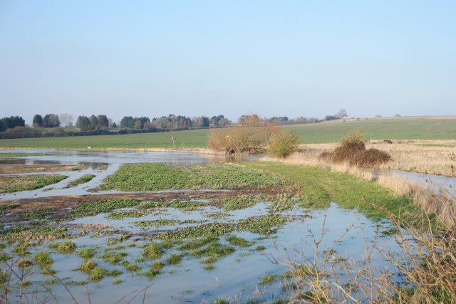 Inundated Fields