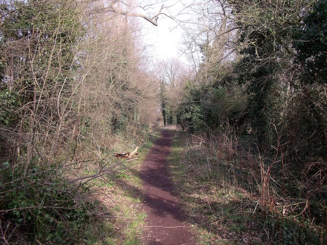 Old railway straight at Forbes Hole
