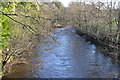 River Nidd