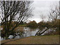 The lake in Parsloes Park