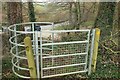 ST7659 : Kissing gate near Hogwood Lodge by Derek Harper