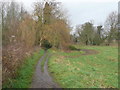 Footpath alongside the River Gipping, Sproughton