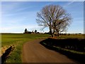 The road to Milton Common