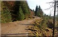 NS0885 : Forest road in Glen Tarsan by Alan Reid