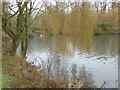 Boating Lake in Harrow Lodge Park