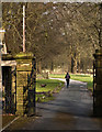 The path northeast through Read Park