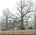 Pasture by Swardeston House