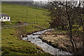 Sabden Brook downstream