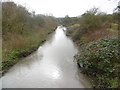 The River Beam flowing through The Chase Nature Reserve