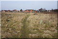 Path leading to Kestevenway, Kingswood, Hull