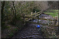 North Devon : Small Stream