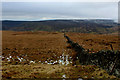 SD6960 : Wall on Catlow Fell by Chris Heaton