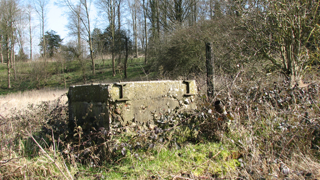 Remains of an old boathouse by Colney Hall