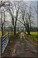 The bridleway to Cock Wood