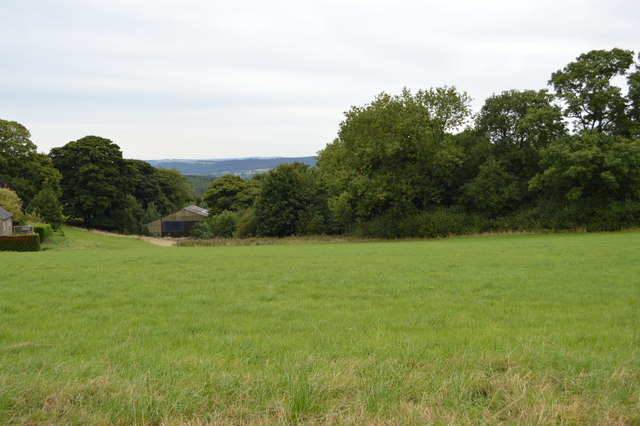 Field, Winster Lane