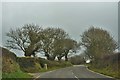 Road Near Lower Colston