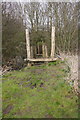 Timber bridge over pond, Mead Park