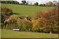 Autumnal Colours, Gants Mill