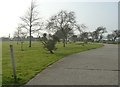 Entrance to "Walnut Tree" Caravan Park