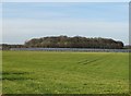 View of new solar farm near Northwith Hall