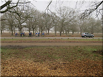 TQ1872 : Cyclists in Richmond Park by Hugh Venables