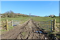 Farm Track at Braeside