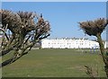 Houses on South Terrace from the seafront