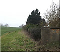 TM3669 : Footpath to Strickland Manor Hill by Geographer