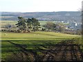 Field below Oakwood