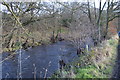 River Nidd