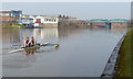SK5838 : Rowers on the river Trent in Nottingham by Mat Fascione