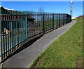 SS5199 : Footpath past school railings, Llanelli by Jaggery