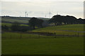 North Devon : Grassy Field