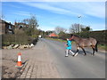 Hall Lane, Bickerstaffe