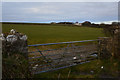 SS5643 : North Devon : Grassy Field & Gate by Lewis Clarke