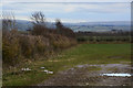 SS5743 : North Devon : Grassy Field by Lewis Clarke