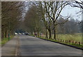 Road next to Nottingham Racecourse