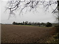 NO4119 : Farmland at Pitcullo by Douglas Nelson