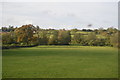 Field in the Frome Valley