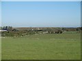 Fields near Earsdon