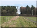 Footpath between Rose Farm and Ash Holt